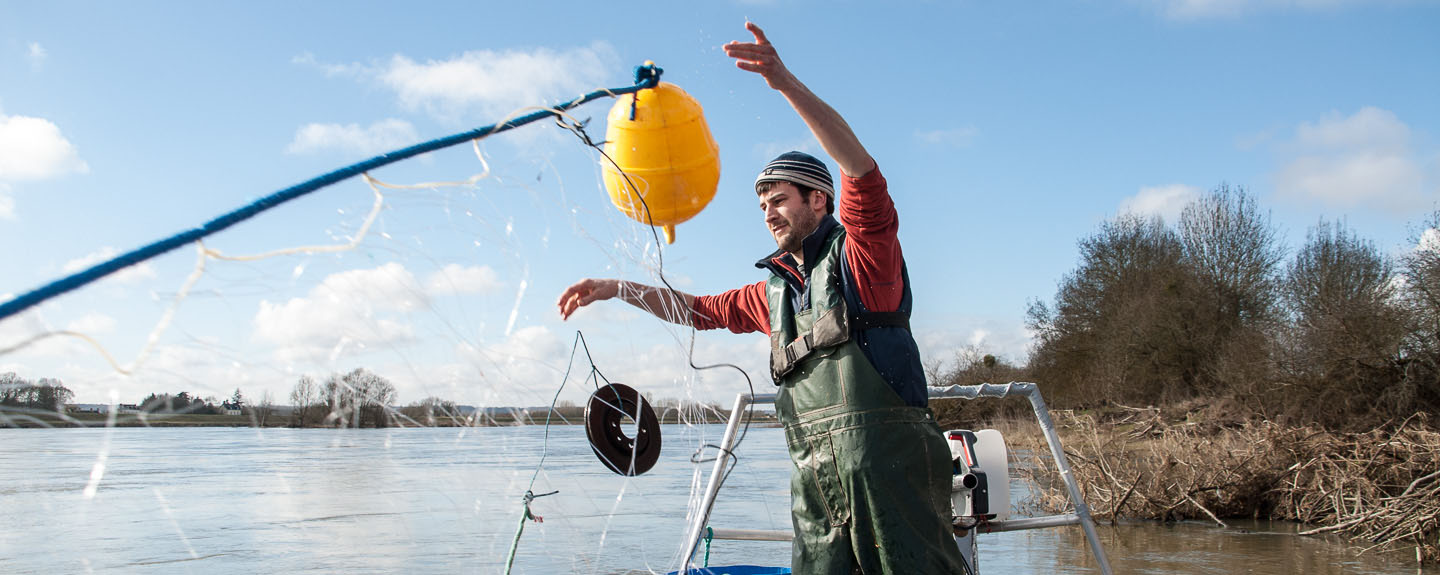 pêche professionnelle en Loire